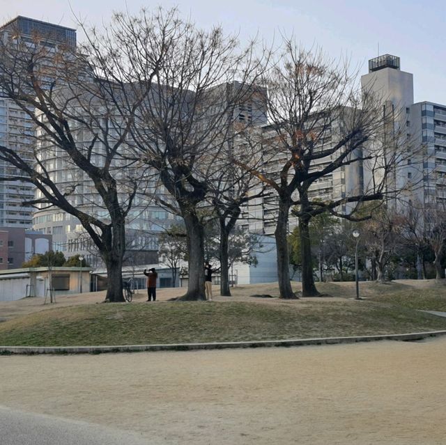 梅田市區散步【扇町公園】