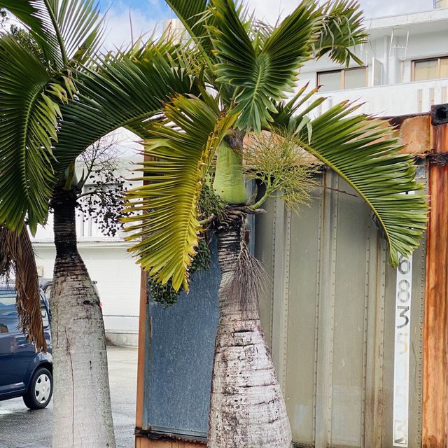 沖縄🏝久米島のイーフビーチは最高・・!!