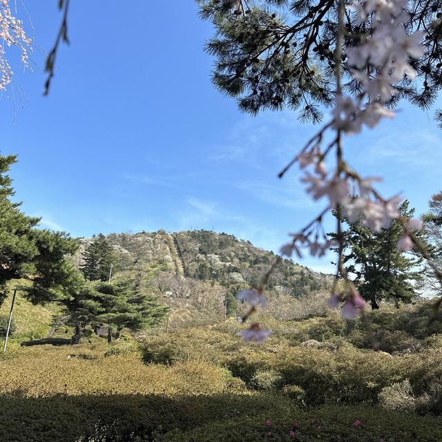 360°パノラマ景色が見える！絶景カフェでまったり♥️伊東 小室山