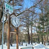 눈이 가득한 삿포로의 마루야마 공원 円山公園 일본여행