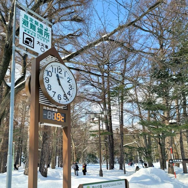 눈이 가득한 삿포로의 마루야마 공원 円山公園 일본여행