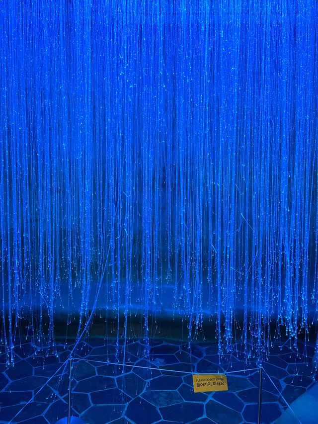 국내최대규모! 서귀포여행 필수코스🐠💙