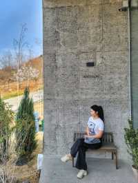 3월초 오픈한 역대급 통창뷰 청도 신상카페🌳☕️