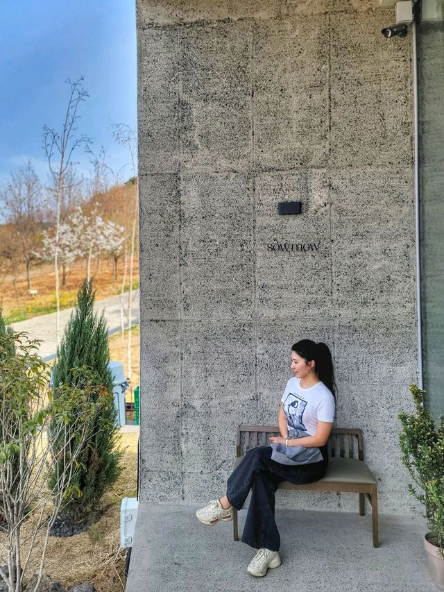 3월초 오픈한 역대급 통창뷰 청도 신상카페🌳☕️