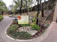 傳統嶺南風格嘅中式庭園 @ 荔枝角公園