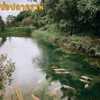 หมู่บ้านอิต่องปิล็อก 🍃
