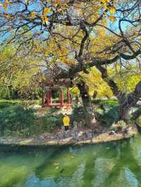 춘향제가 열리는 아름다운 한국의 정원, 광한루원🌳