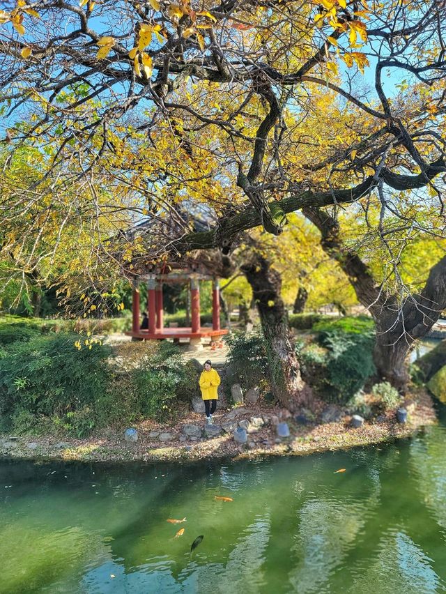 춘향제가 열리는 아름다운 한국의 정원, 광한루원🌳