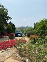 Flowermountain Khaoyai  ต้องมาค่ะ