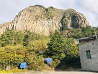 🇰🇷韓國濟洲必訪景點🍵 Osulloc Tea Museum 오설록 티 뮤지엄