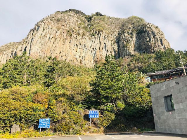 🇰🇷韓國濟洲必訪景點🍵 Osulloc Tea Museum 오설록 티 뮤지엄