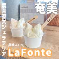 奄美「La Fonte」美食ジェラートを食す