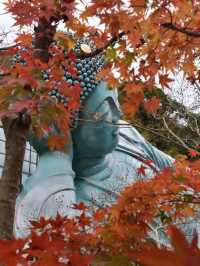福岡のパワースポットへ出かけよう