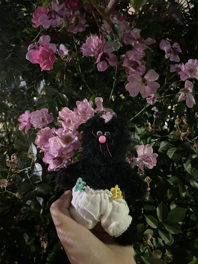 장미축제 막차타기 성공 🌹❤️