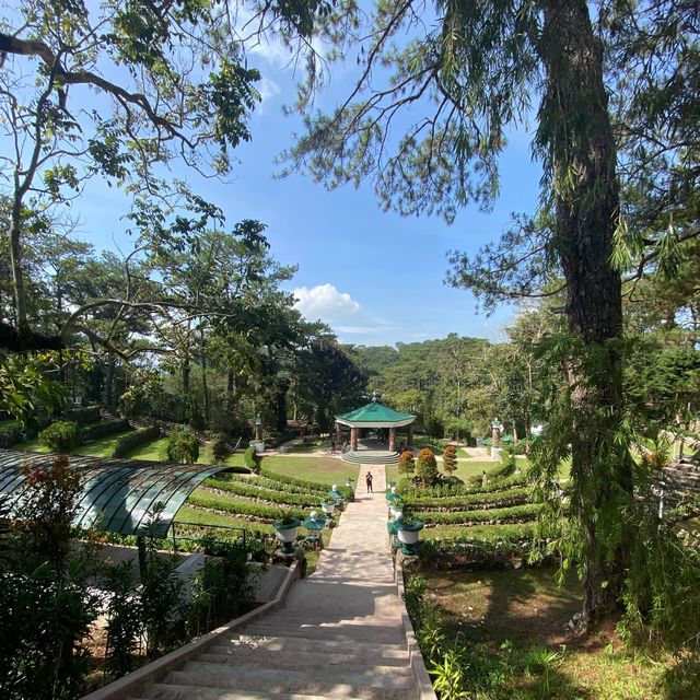 A Paradise in the City of Pines