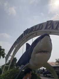 โลกใต้ทะเลที่พัทยา🐳🐋🐬