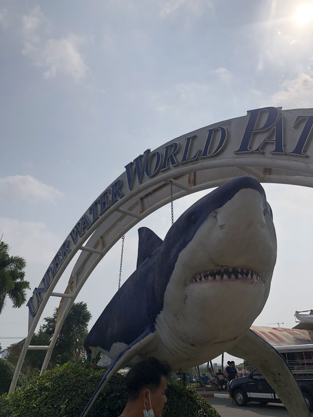 โลกใต้ทะเลที่พัทยา🐳🐋🐬
