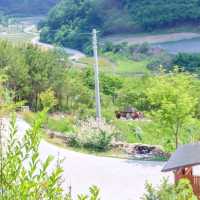 자연을 바라보는 홀리가든⛰️ 