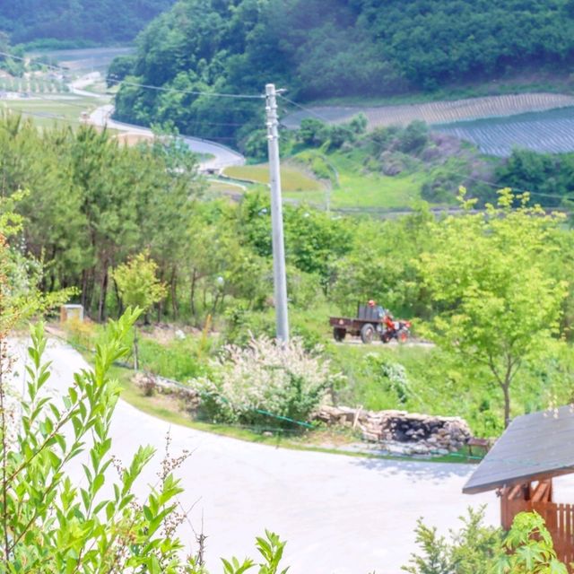 자연을 바라보는 홀리가든⛰️ 