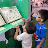 《迷你版生物多樣性博物館在將軍澳》