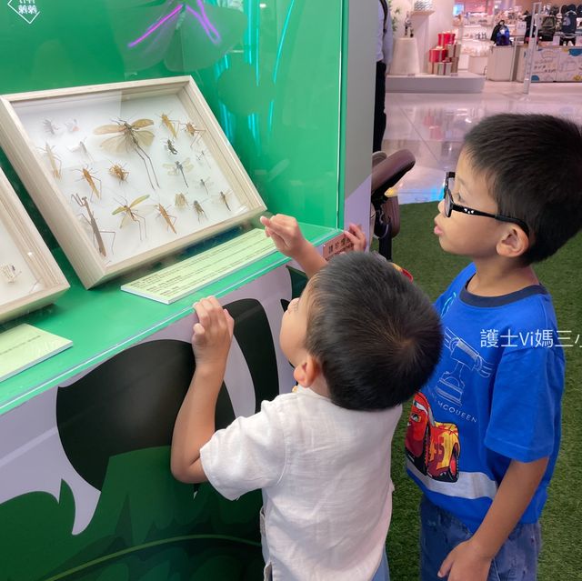 《迷你版生物多樣性博物館在將軍澳》