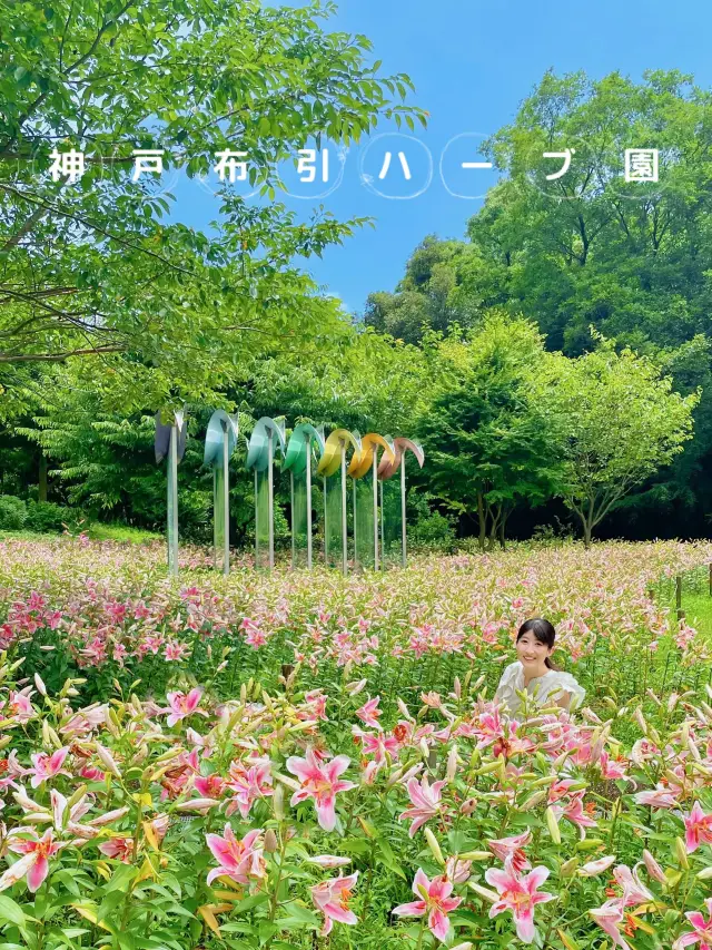 【神戸布引ハーブ園🌿ロープウェイ🚡】