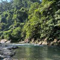 Jungle trek in Bukit Lawang - Indonesia