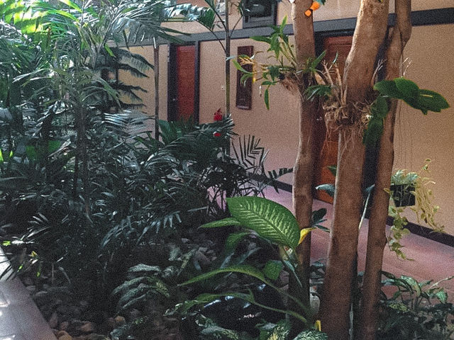 • โรงแรมบ้าน​ ณ​ คอน : Baan Nakhon Hotel  🧺✨