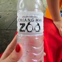 Chiang Mai Zoo