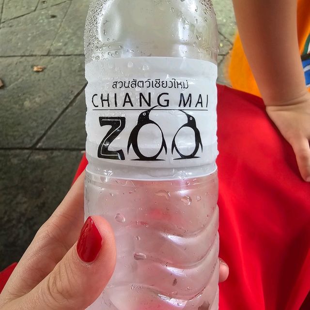 Chiang Mai Zoo