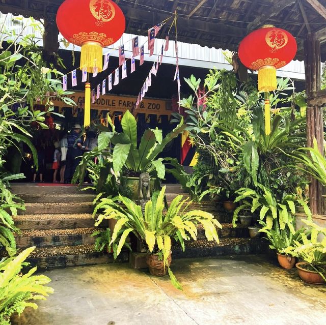 楊氏鱷魚場～挑戰刺激冒險！🐊🌴🔥