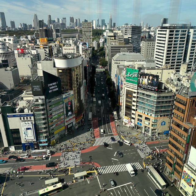 도쿄여행 필수 전망대, 시부야 스카이🗼🇯🇵