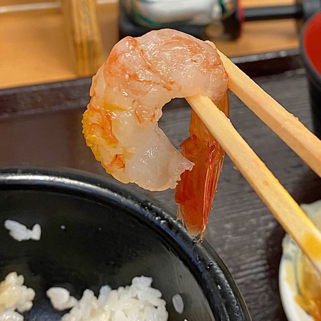 삿포로 니조시장 카이센동 맛집 사카나야🦐살아있는 새우라니..