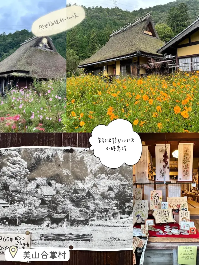 京都出發😛美山合掌村❤️經典茅葺屋😉仙境景點