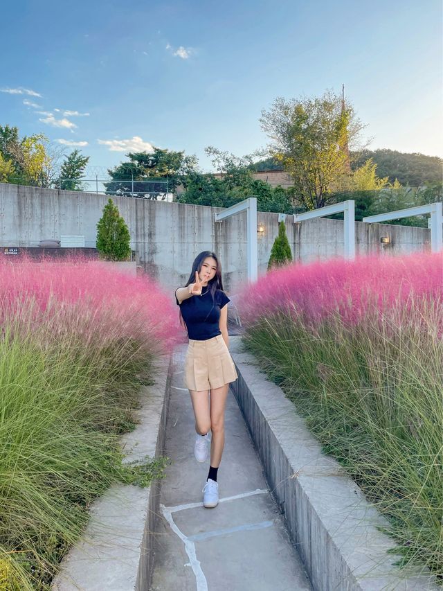 핑크뮬리가 예쁜 카페, 구수리370