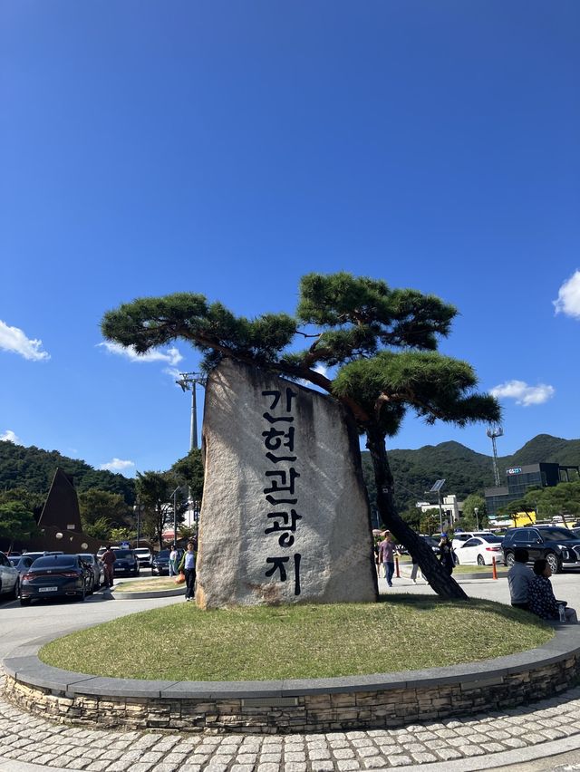후덜덜하고 짜릿한 소금산 출렁다리 🥶