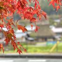หมู่บ้านคายาบุกิ หมู่บ้านโบราณ ณ.เกียวโต