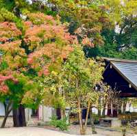 Gokoku Shrine: Honor Remembered Forever