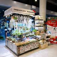 Naug Just Plants Hydroponic Houseplants