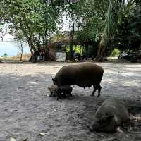 เกาะมัดสุม (Madsum Island)