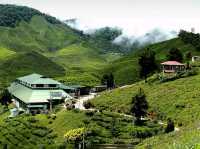 Cameron Highlands