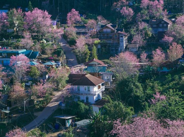 บ้านร่องกล้า
