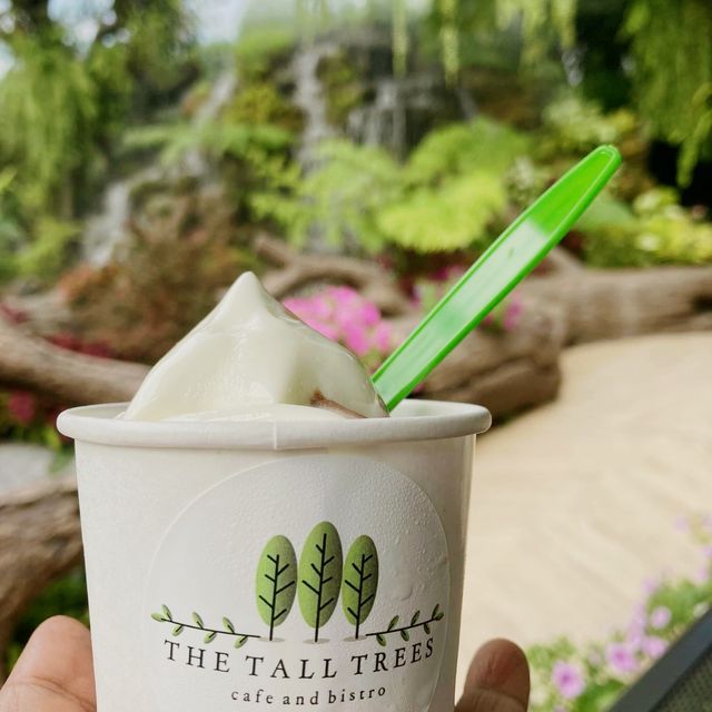 The Tall  Trees  คาเฟ เกาใจ