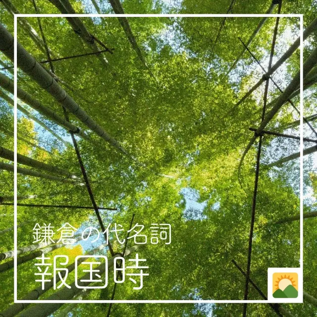 【鎌倉の代名詞🌿報国寺】