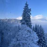 德國慕尼黑楚格峰滑雪🎿