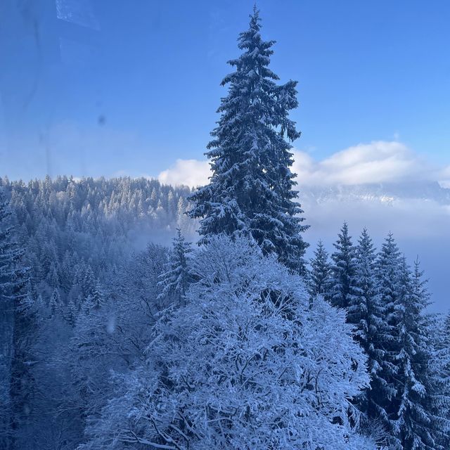 德國慕尼黑楚格峰滑雪🎿