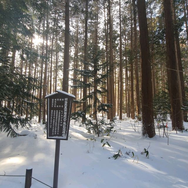 雪季節分祭北海道神宮