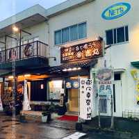 河津櫻，東京最早櫻花祭   酒店/景點/美食個人分享