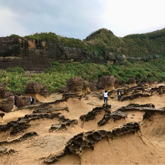台湾のまるで宇宙のような奇岩の風景【野柳地質公園】