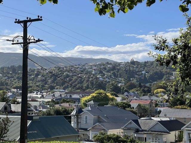 Dunedin Botanic Garden 但尼丁市區植物園，野餐散步好地方